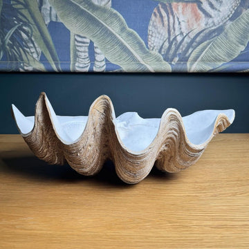 Large Clam Shell Bowl