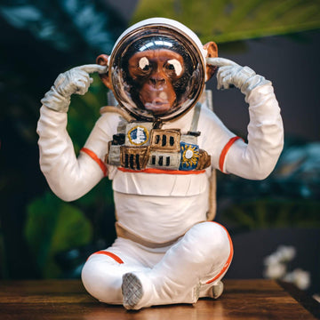 PRE-ORDER Hear No Evil Space Chimp