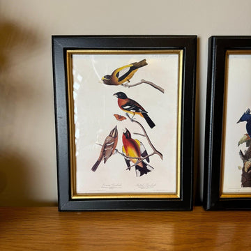 Four Birds Framed Wall Art