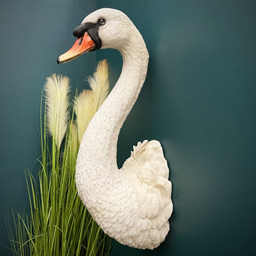 Large Swan Wall Head